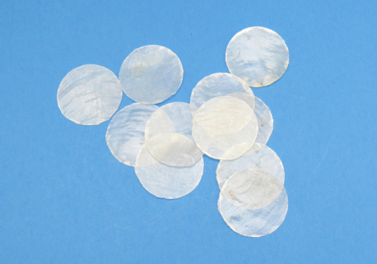 Capiz Round Cut Shells - Placuna Placenta - (10 round cut shells approx.  1.5 inches) - WB 30